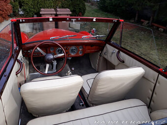 Healey Abbott - 6