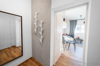 Pronájem luxusního bytu - 6
