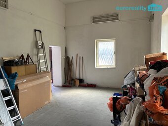 Prodej, komerční prostor, 330m2, Planá - 6