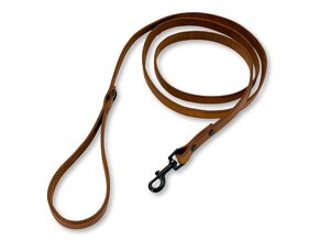 Vodítka pro psy - 6