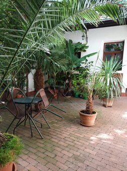 Pronájem neprůchozího pokoje, Olomouc - centrum - 6