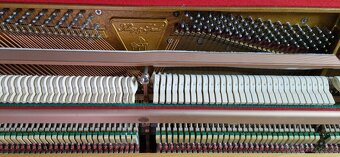 Piano Klug a Sperl - Bohemia - Světlé - Buk r. v. 2000 - 6