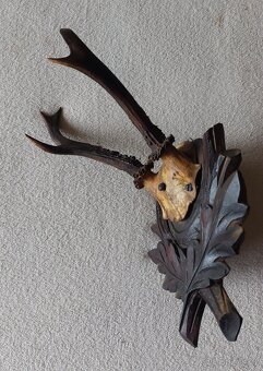 parohy a parůžky - 6