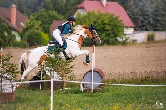 Charakterní klisna - 6