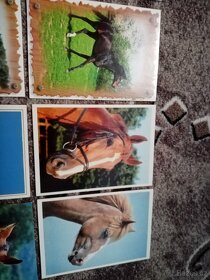 Prodám 12 starých nepoužitých pohlednic s koňmi - 6