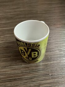 Hrneček Borussia Dortmund - 6