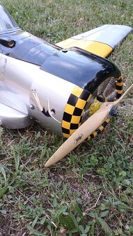 AT-6 Texan Black horse - 6