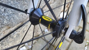 COLNAGO - 6