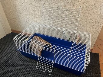Zakrslý králíček darujeme zdarma Super ZOO - 6