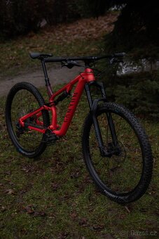 Canyon Neuron AL5 - 6