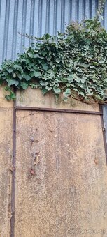 Vrata na foliák, foliovník - 6