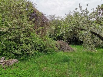 Prodej zahrady Obřany - Maloměřice - 6