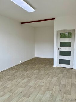 Pronájem 2+1 po rekonstrukci v Brně na Lesné - 6
