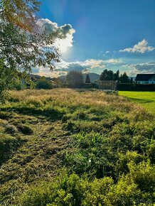 Sekání Trávy Trutnov a okoli. Zahrady ,pozemky ,stráně . - 6