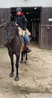 Milionový valach - 6