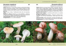 PAVEL ŠPINAR - VZÁCNÉ HOUBY TÁBORSKA - 6