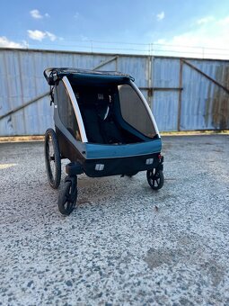 Thule Courier - 6