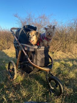 Kočárek pro psa do 23Kg PetBuggy - 6