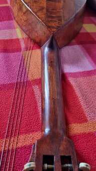 10ti strunný celomasivní nástroj - 6