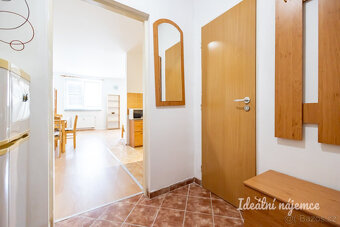 Pronájem bytu 1+kk, Komenského, Šestajovice u Prahy, 14900 K - 6