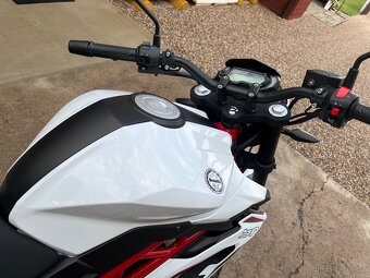 BENELLI BN 125 Euro 5 - 6