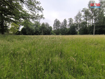 Prodej lesa, 20 128 m², Střelské Hoštice - 6