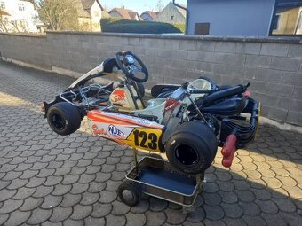Motokára Sodi ROTAX 125 DD2 - 6