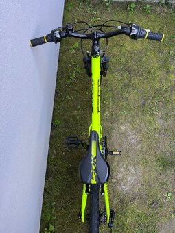 Core Nipper 24” TOP STAV - 6