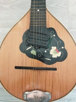 Prodám starožitnou mandolínu - 6