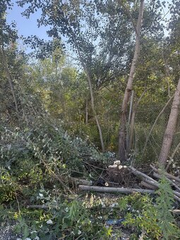 Nabízím své služby - 6