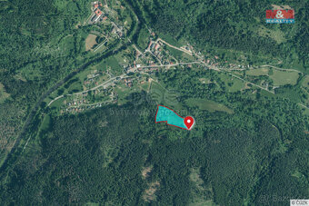 Prodej louky, 13.819 m², Rejštejn - 6