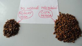 Plástový pyl Perga - Ambrosie. Ruční práce - 6