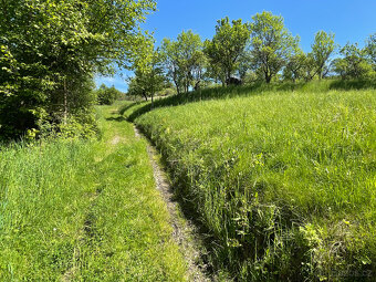 Prodej stavebního pozemku Kateřinice u Vsetína, 3809 m2 - 6