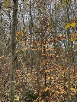 Prodám pozemky v k.ú. Háje a k.ú. Petrovice - 6