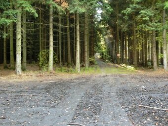 Lesní pozemky k.ú. Velíková, okr. Zlín, CP 179 312 m2 - 6