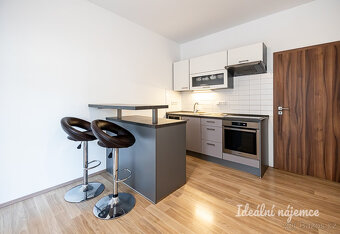 Pronájem bytu 2+kk, Biskupcova, Žižkov, 21900 Kč/měs, 44 m2 - 6