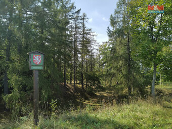 Prodej tufitového lomu, 13529 m², Razová - 6