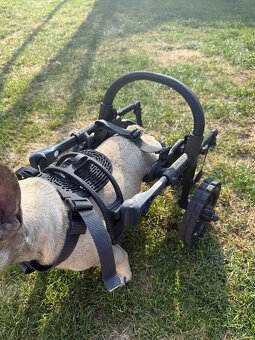 Vozíček Anyonego - 6