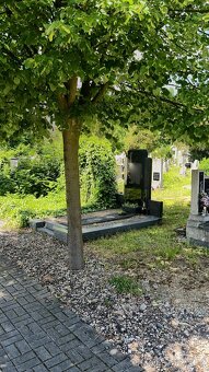 Náhrobek Teplice - 6