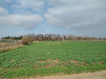 Investičně zajímavý pozemek v k.ú. Vranovice nad Svratkou o  - 6