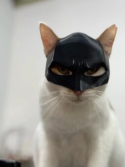 Batman maska pre mačku - 6