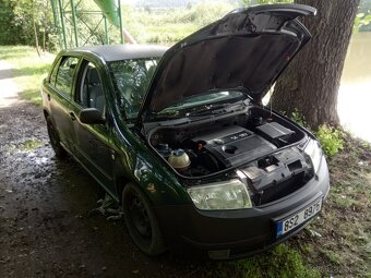 Fabia - 6