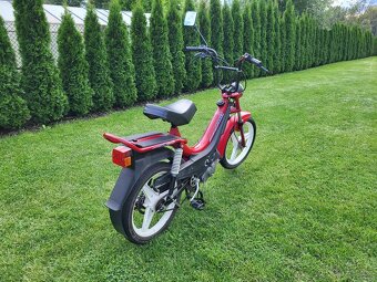 Manet Korado Puch - 6