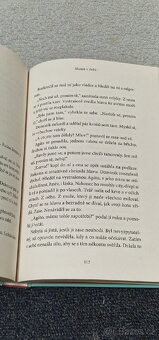 Kniha Slunce v dešti - 6