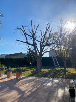 ÚDRŽBA ZAHRADY – SPOLEHLIVĚ A BEZ STAROSTÍ - 6