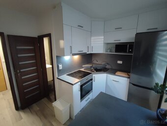 Prodám byt 1+1, 30,50m2 v obci Práče - 6