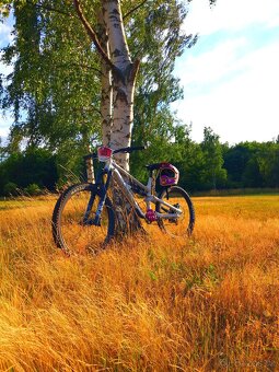 Prodám Canyon Torque Mullet AL 7 (XL) – téměř nové, FOX 38 + - 6