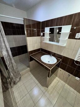 (806) Pronájem, dům, 196 m poz., B. Němcové 349, Podbořany - 6