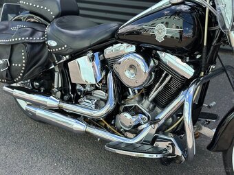 H-D Delkron Evo2 (1997) - 6