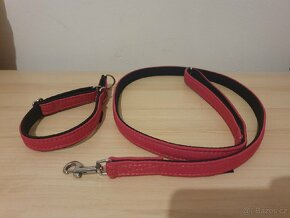 Obojek a vodítko Mutt&Go - 6